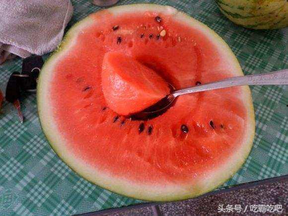 吃瓜网友全集免费观看,全网热议！揭秘“吃瓜网友全集免费观看”背后的真相  第3张