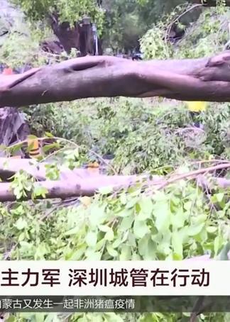 山竹爆料深圳视频,深圳幕后真相大曝光  第3张